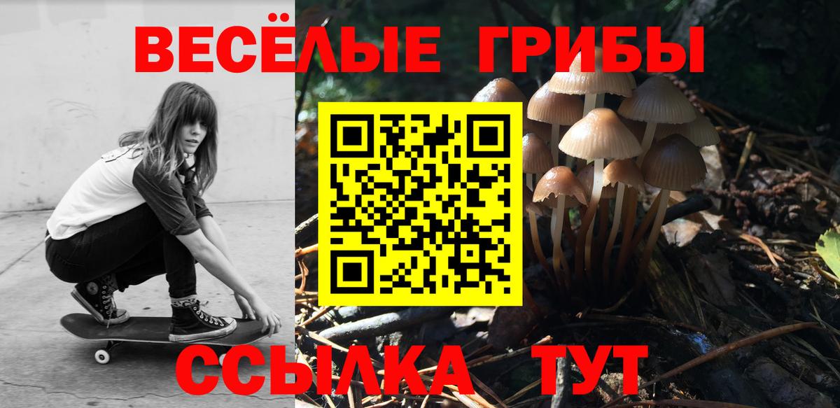 Анапа  Галлюциногенные грибы прущие грибы  Галлюциногенные грибы Psilocybine cubensis  Вход с VPN 